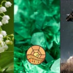Symbols for May birth month, lily of the valley, emerald birthstone, and Taurus zodiac sign.
