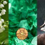 Symbols and fun facts for May birth month, lily of the valley flower, emerald birthstone, and Taurus zodiac sign.