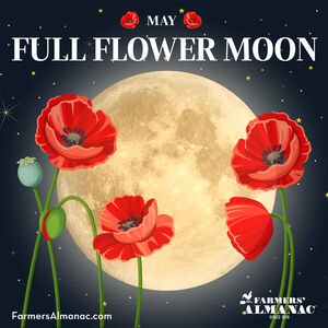 Full Flower Moon Farmers' Almanac logo with poppy flowers.