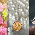 Symbols for June birth month, rose, pearl birthstone, and Gemini zodiac sign.