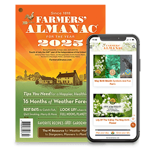 Home featured image