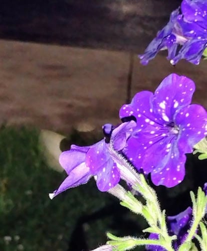 IMG_20240608_204926948
