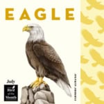 July fun facts and symbols represented by bird of the month, eagle.