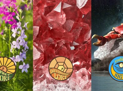 July Birth Month Symbols And Fun Facts featured image