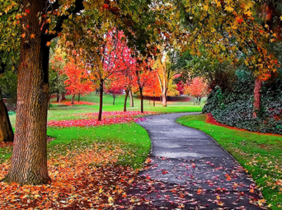 Extended Fall Forecast 2024: When Will It Cool Off Or Snow? featured image