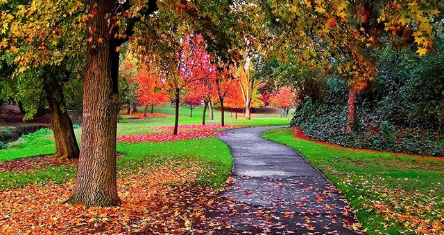 2024 Fall Weather Forecast