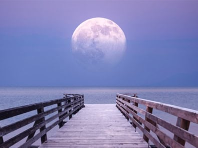 July Night Sky Guide (July 2024) featured image