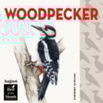 August fun facts and symbols represented by bird of the month, woodpecker.
