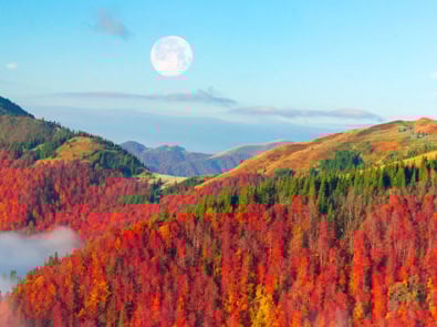 October Night Sky Guide (October 2024) featured image