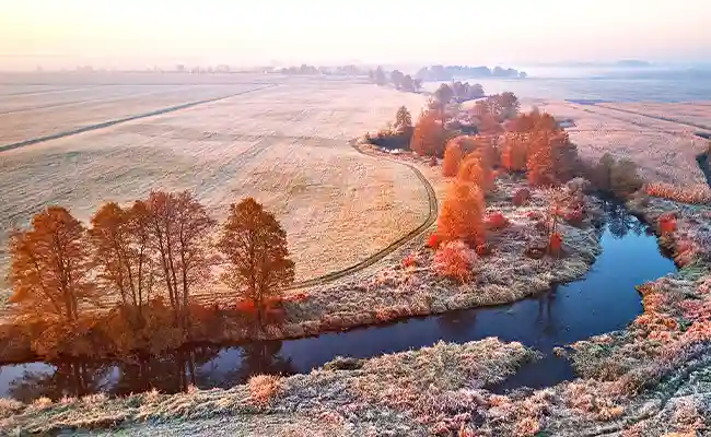 Thanksgiving weather forecast 2024 represented by orange trees on a frosty landscape.