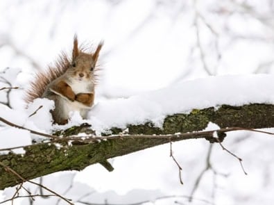 Review Of Winter Weather 2023-2024 featured image
