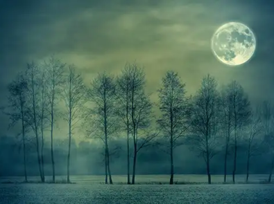 November Night Sky Guide (November 2024) featured image