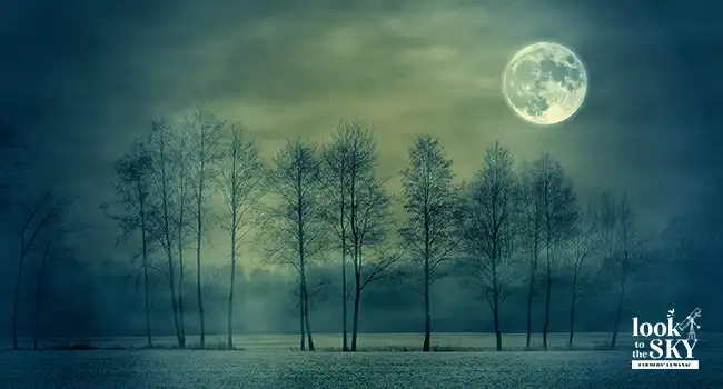 November night sky with the Full Beaver Moon shining silvery light over a dark forest.