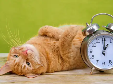 Daylight Saving Time 2025: When Does the Time Change? featured image