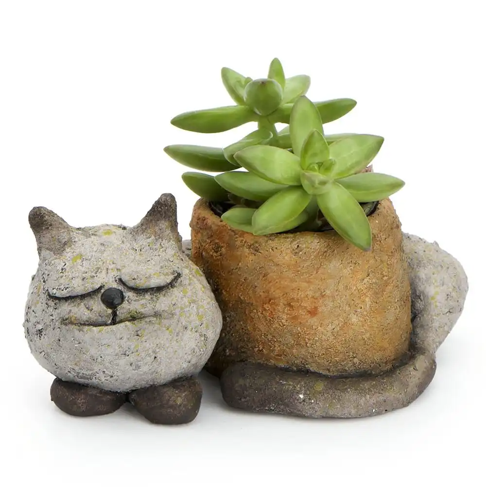 Small plant pot shaped like a cat with a succulent poking out.