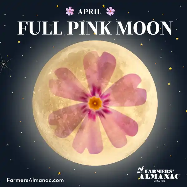 Farmers' Almanac Plan Your Day. Grow Your Life. Weather, Gardening