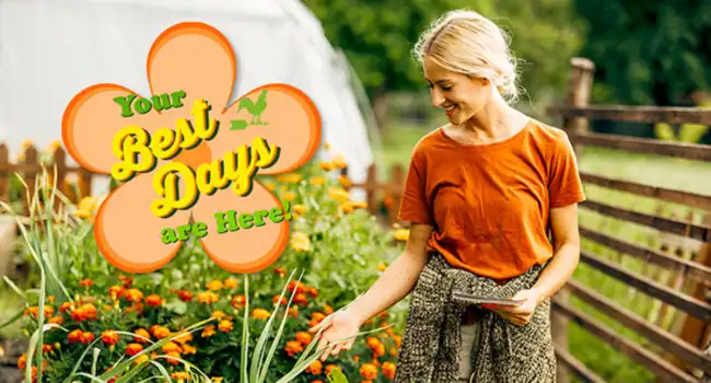 A woman is standing in a garden with flowers a woman checking on her tomato plants.