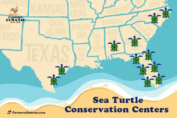 Sea turtle conservation centers in the US recommended by Farmers' Almanac.