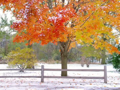 Extended Fall Forecast 2025: When Will It Cool Off Or Snow? featured image
