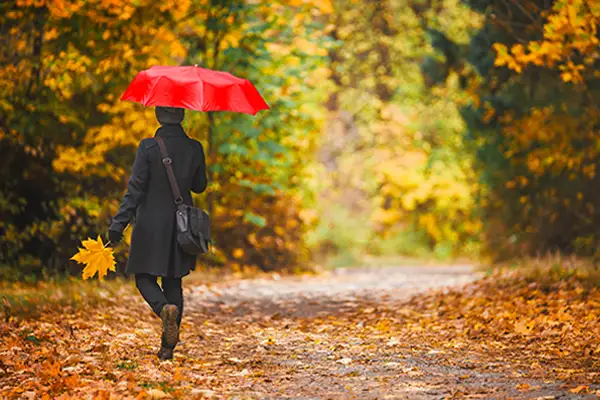 Fall weather forecast 2025 represented by a woman holding an umbrella walking through an autumnal forest.
