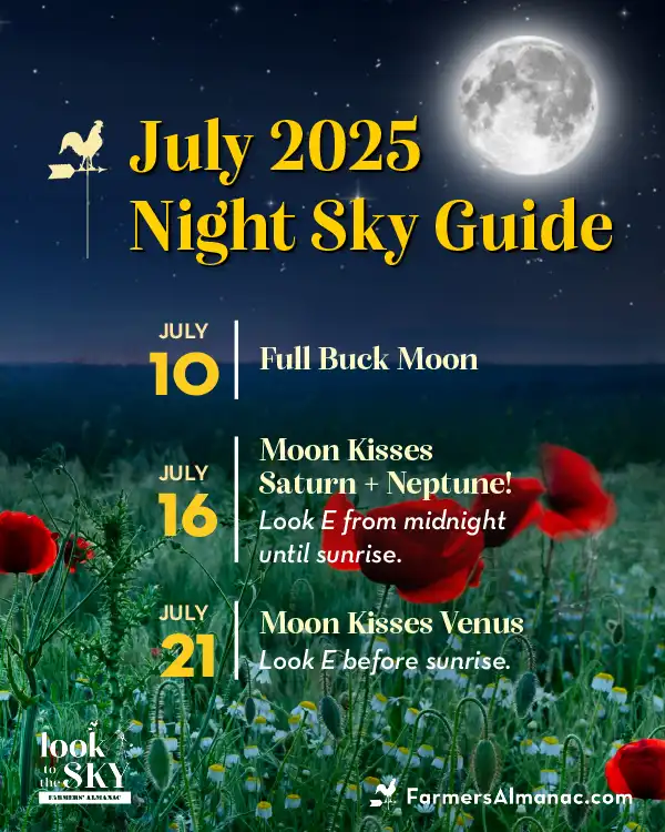 July 2025 night sky guide by Farmers' Almanac showing a silvery full Moon above red flowers in a field at night.