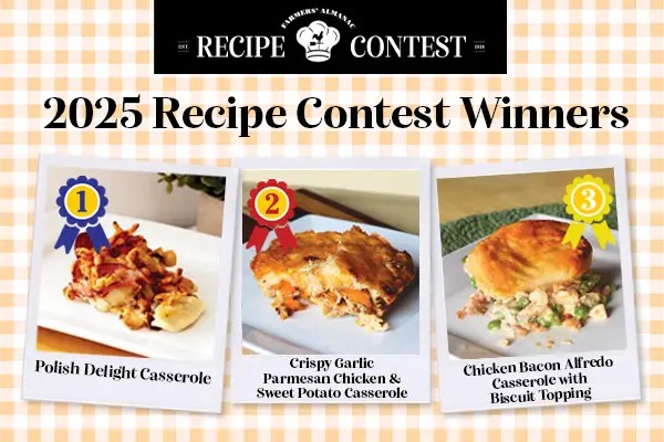 Farmers' Almanac Casserole Recipe Contest winners.