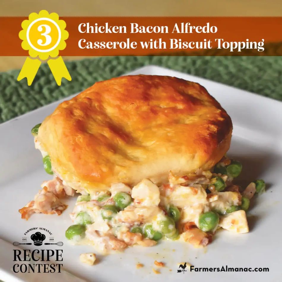 Chicken Bacon Alfredo Casserole Recipe by Timothy Dehollander of Myrtle Beach, South Carolina.
