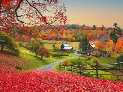 Fall Equinox – When Is the First Day of Fall? featured image