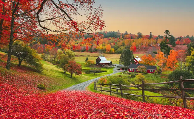 First day of fall represented by an autumn farm landscape with red leaves on the ground.