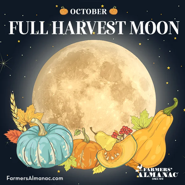 Full Moon October 2025, known as the Full Harvest Moon, represented by an illustration of a full Moon surrounded by pumpkins and squashes.