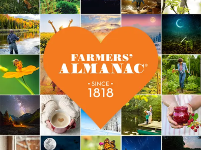 A Fond Farewell featured image