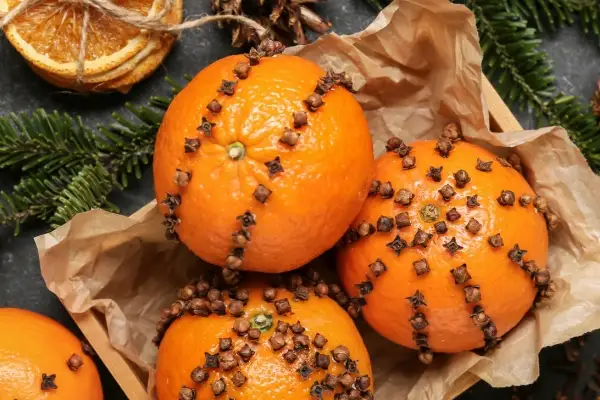 Pomander decorations on wax paper, surrounded by pine boughs.