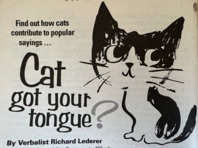 Cat got your tongue? Find out how cats contribute to popular sayings … featured image
