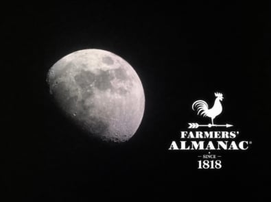 Moon Phases For This Month featured image