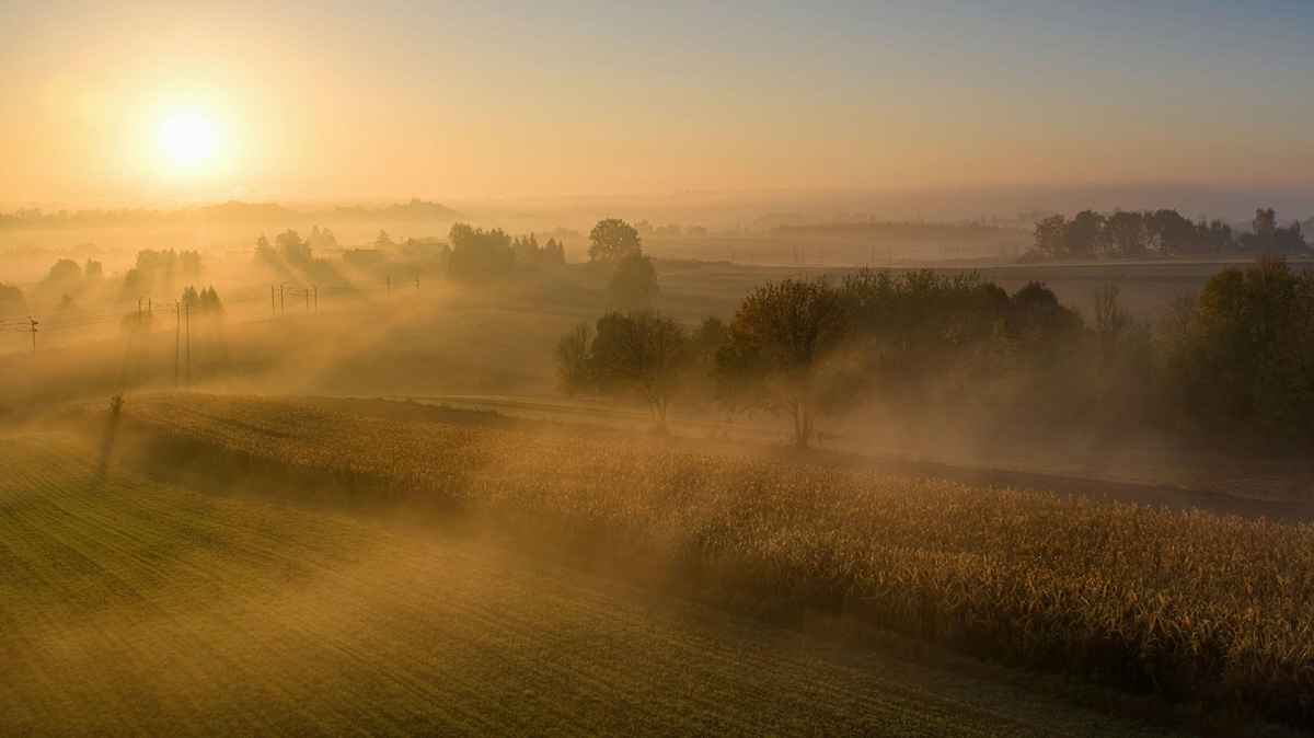Watch Sun Rise Watching the Sunrise: A Simple Healthy Morning Habit