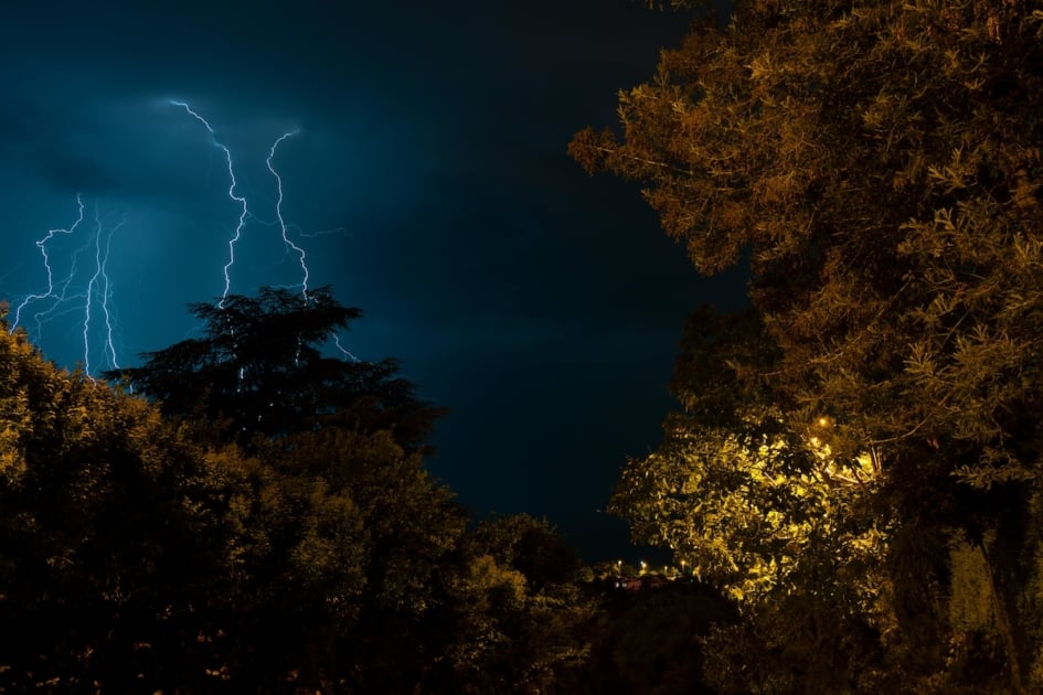 Lightning bolts strike across a dark night sky behind the silhouettes of leafy trees.