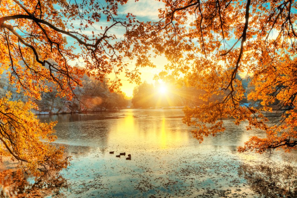 Beautiful colored trees with lake in autumn, landscape photography. Late autumn and early winter period.
