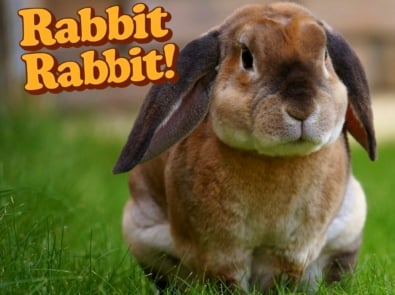 Why Do People Say “Rabbit Rabbit” on the First Day of the Month? featured image