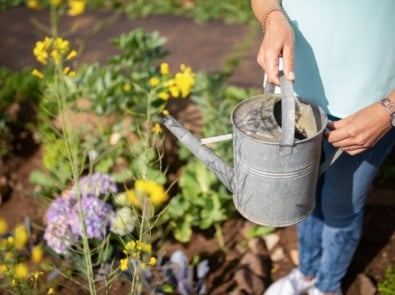 After the Solstice: What to Plant, Prune, and Harvest Once Summer Officially Begins featured image