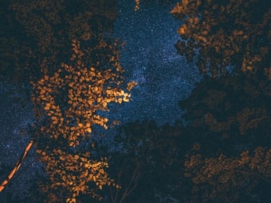 How Ancient Farmers Used the Stars to Predict the Seasons featured image