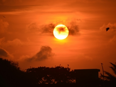 5 Sunniest Cities in the United States featured image