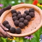Homemade Native Wildflower Seed Bombs
