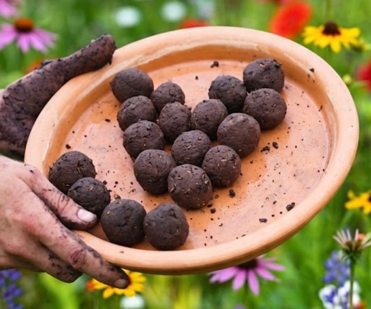 Homemade Native Wildflower Seed Bombs