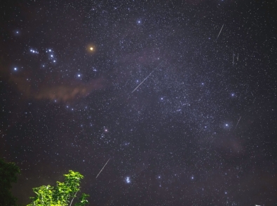 Meteor Showers Active Now: Here’s What to Watch for in the Night Sky featured image