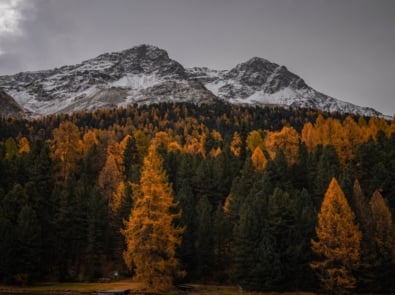10 Signs From Nature of a Harsh and Cold Fall Ahead featured image