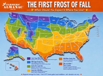 First Frost Dates 2026: When Should You Expect the First Frost of Fall? featured image