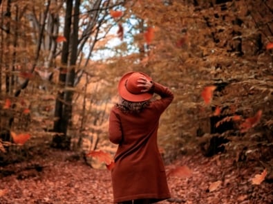 10 Early Signs of Fall in Nature featured image