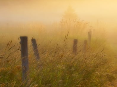 August Fog and Winter Snow: The Old Folklore Behind “Beans in a Jar” featured image