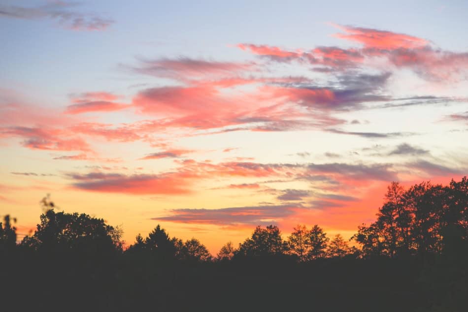 Colorful sunset with pink and orange clouds over silhouetted trees.