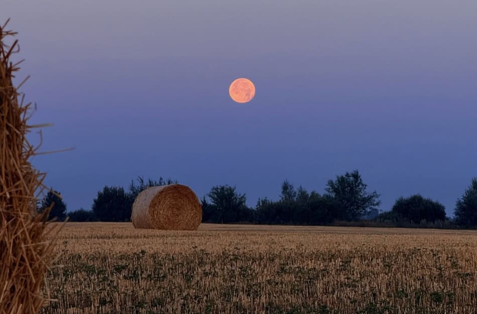 Full moon rising over a harvested field with hay bales at dusk.